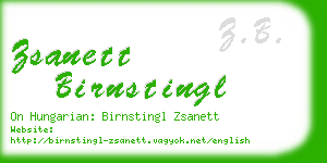 zsanett birnstingl business card